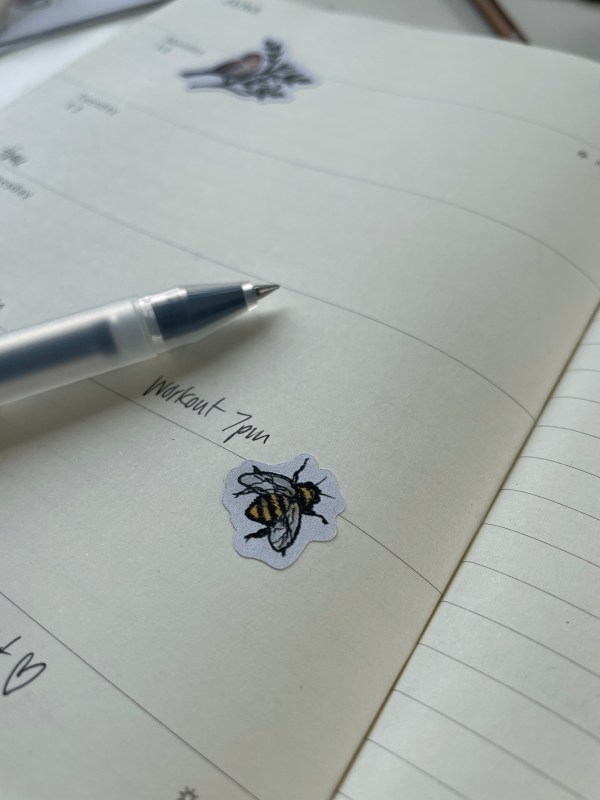 Hello Mr. Sun - Sticker Sheet (planner stickers)