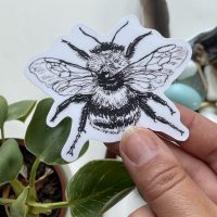Bee (Inktober art) - Vinyl sticker - Image 1