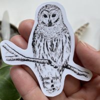 Owl (Inktober art) - Vinyl sticker - Image 1