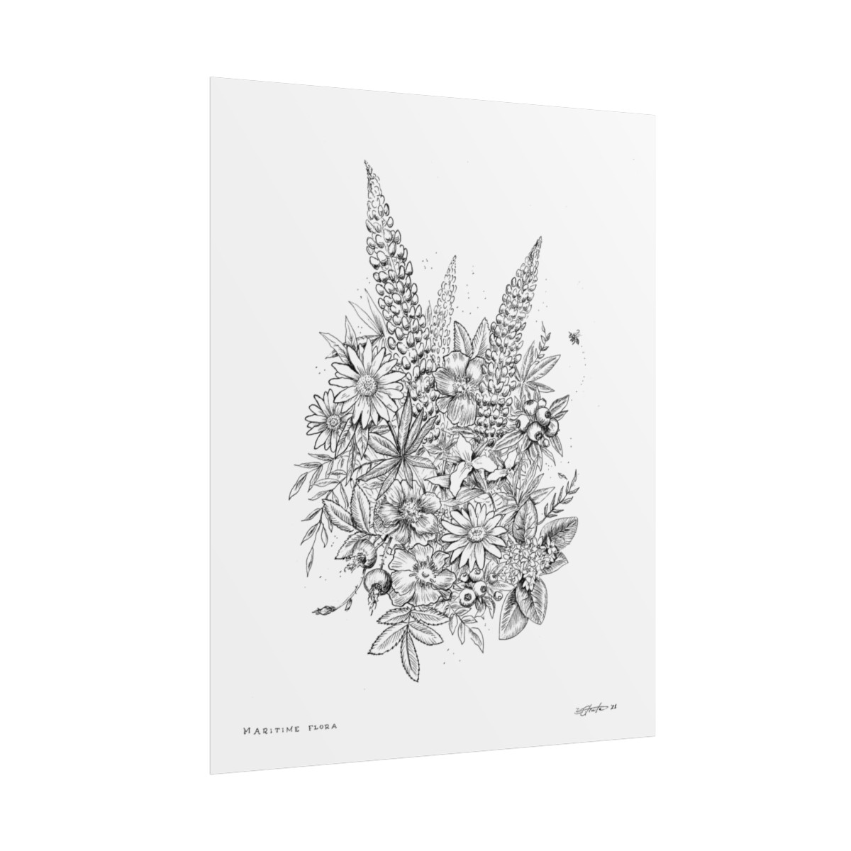 Maritime Flora Pen & Ink Art Print - Image 13