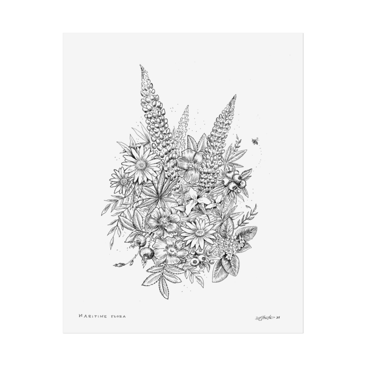 Maritime Flora Pen & Ink Art Print - Image 6