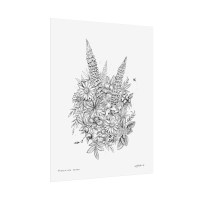 Maritime Flora Pen & Ink Art Print - Image 3